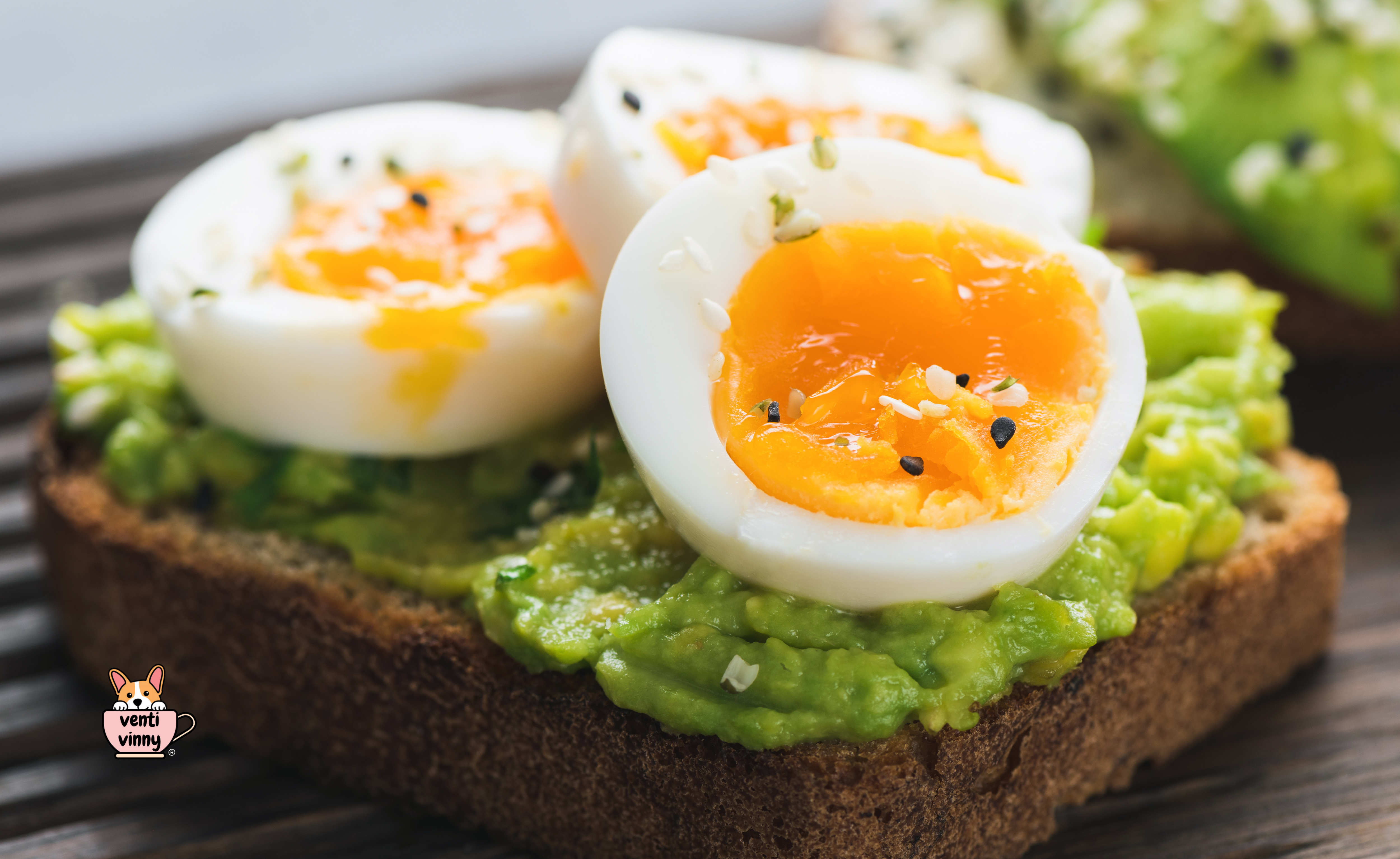 Avo Toast n Soft Egg Composition Notebook