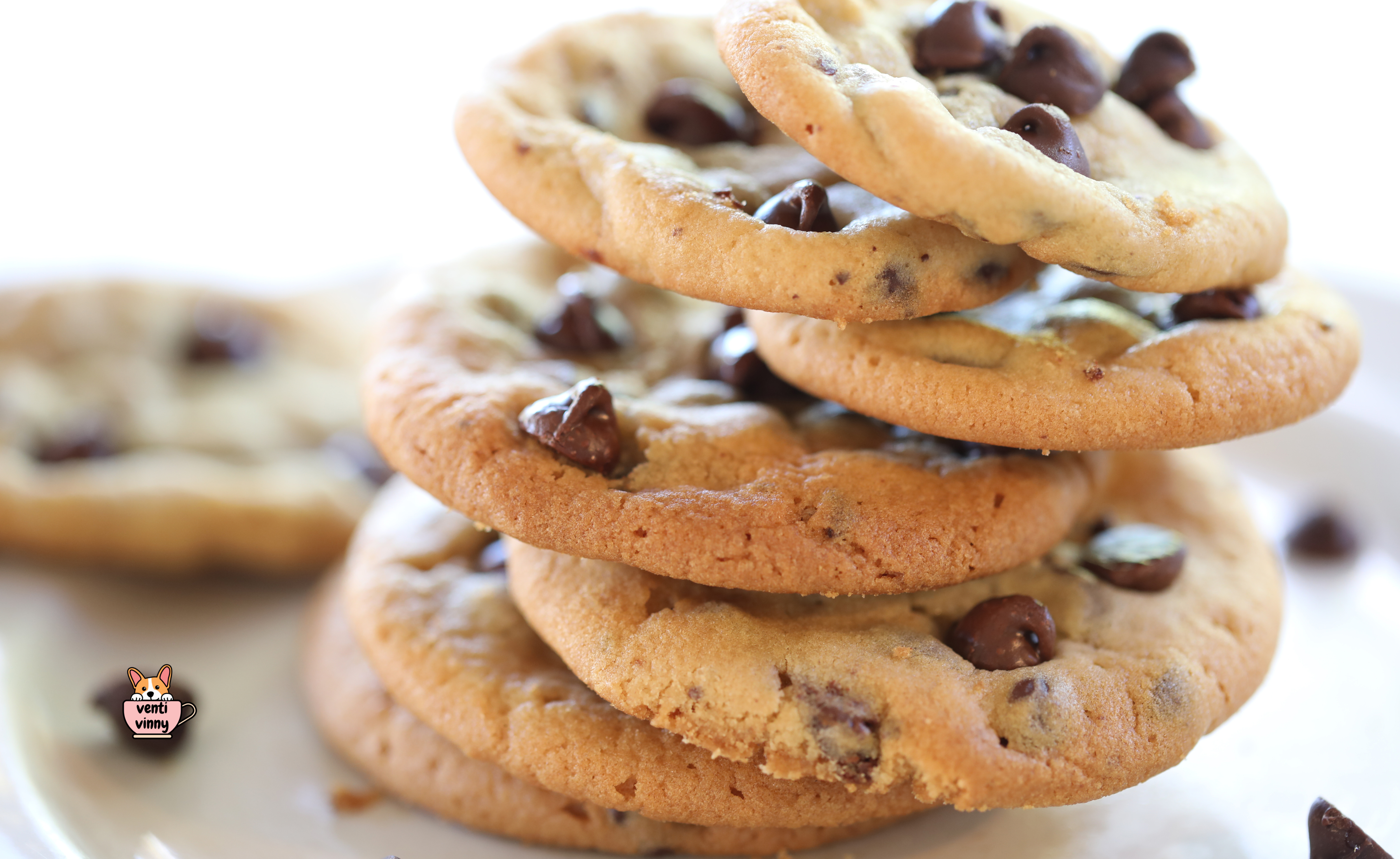 Chocolate Chip Cookie Composition Notebook