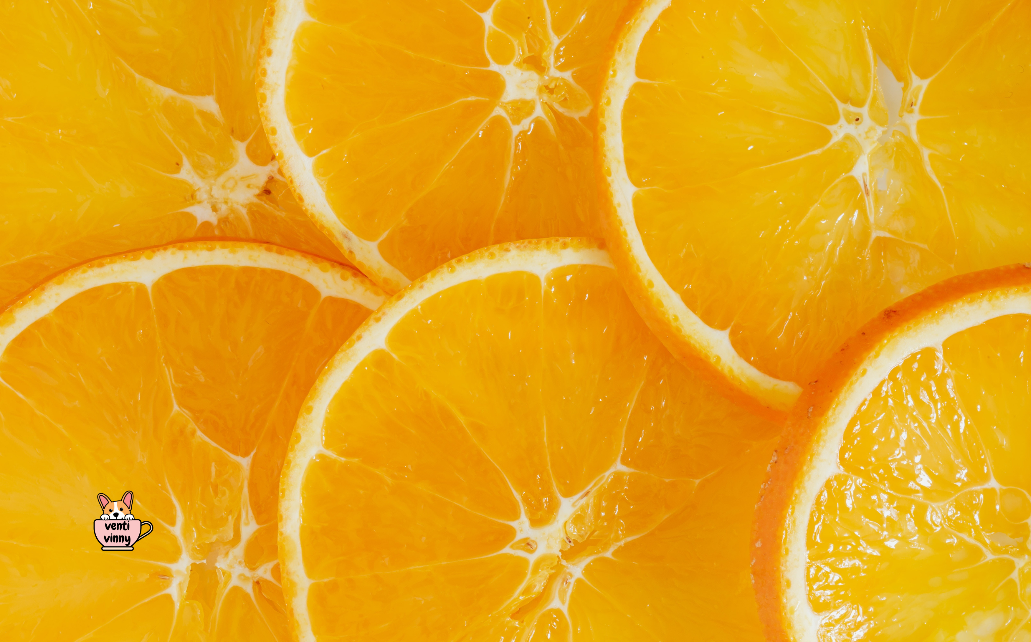 Oranges Composition Notebook