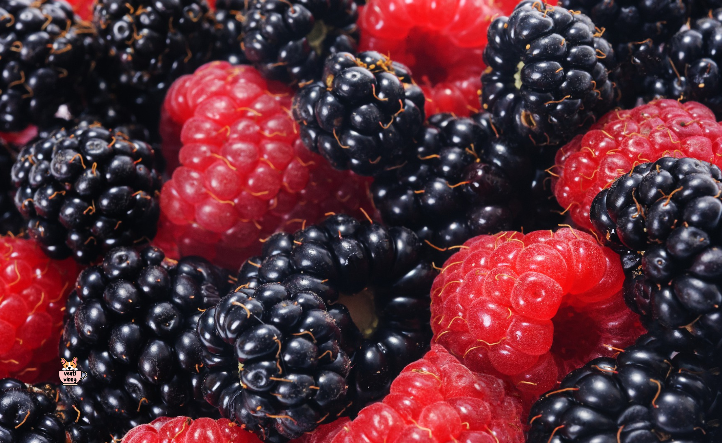 Blackberry Raspberry Composition Notebook
