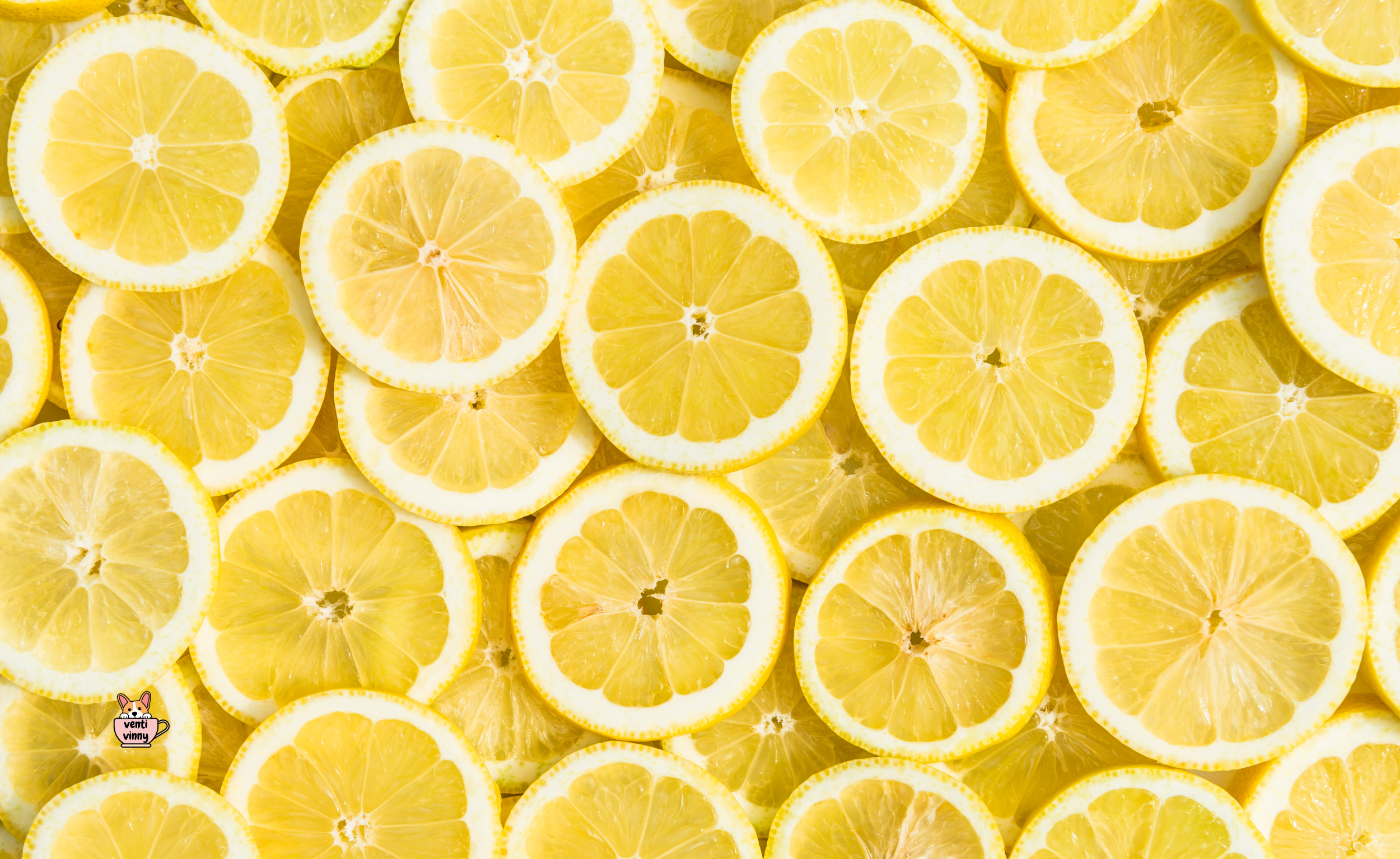 Sunny Lemons Composition Notebook