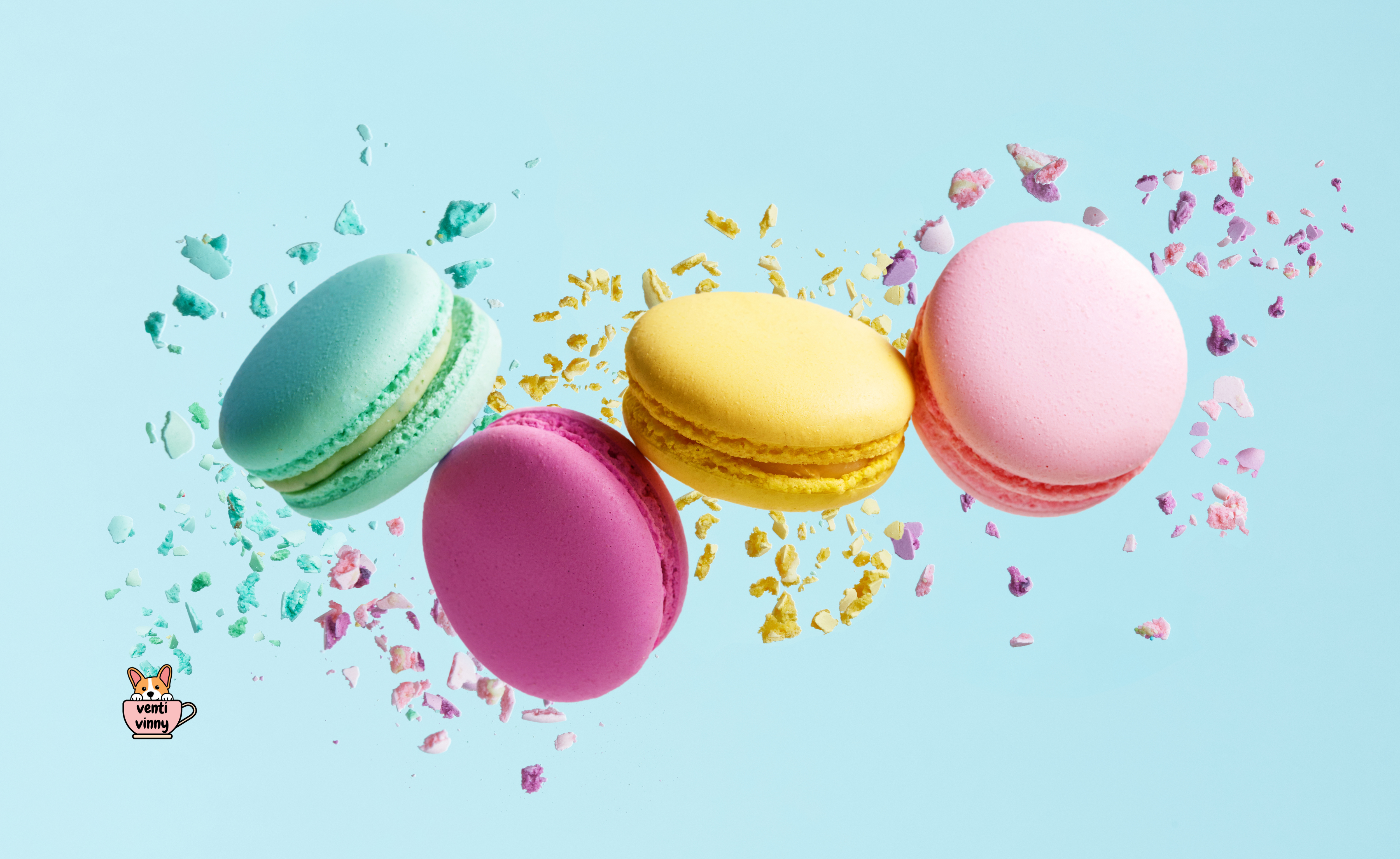 Macaron Pastel Composition Notebook