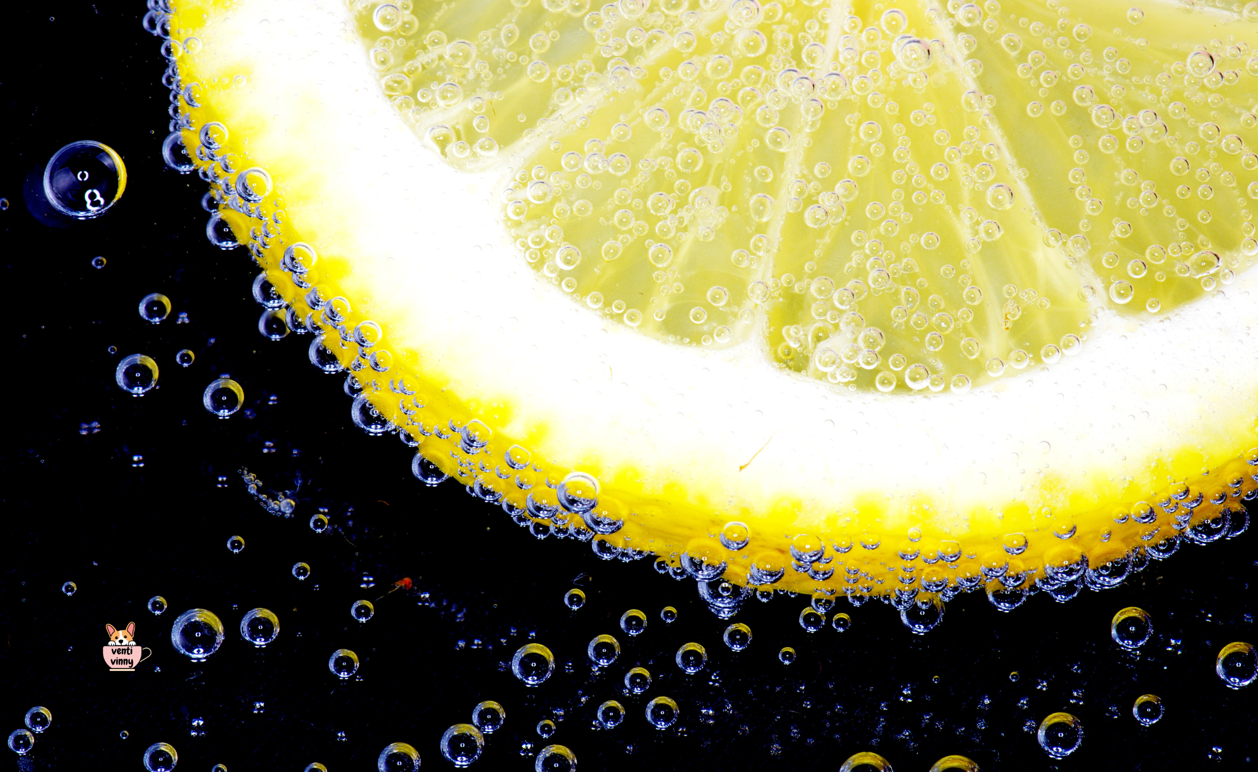 Lemon Bubbles Composition Notebook