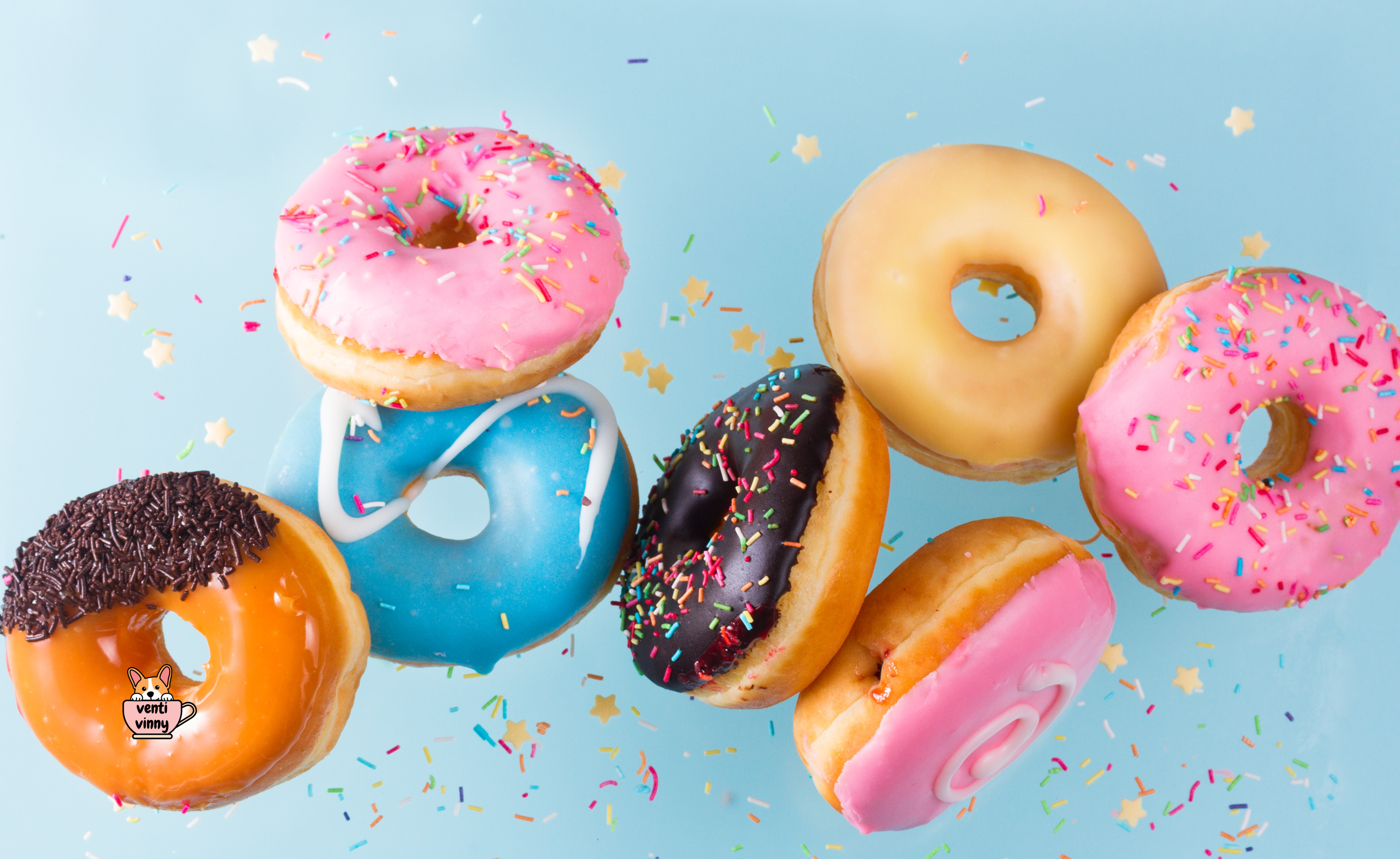 Donut Fly By Composition Notebook