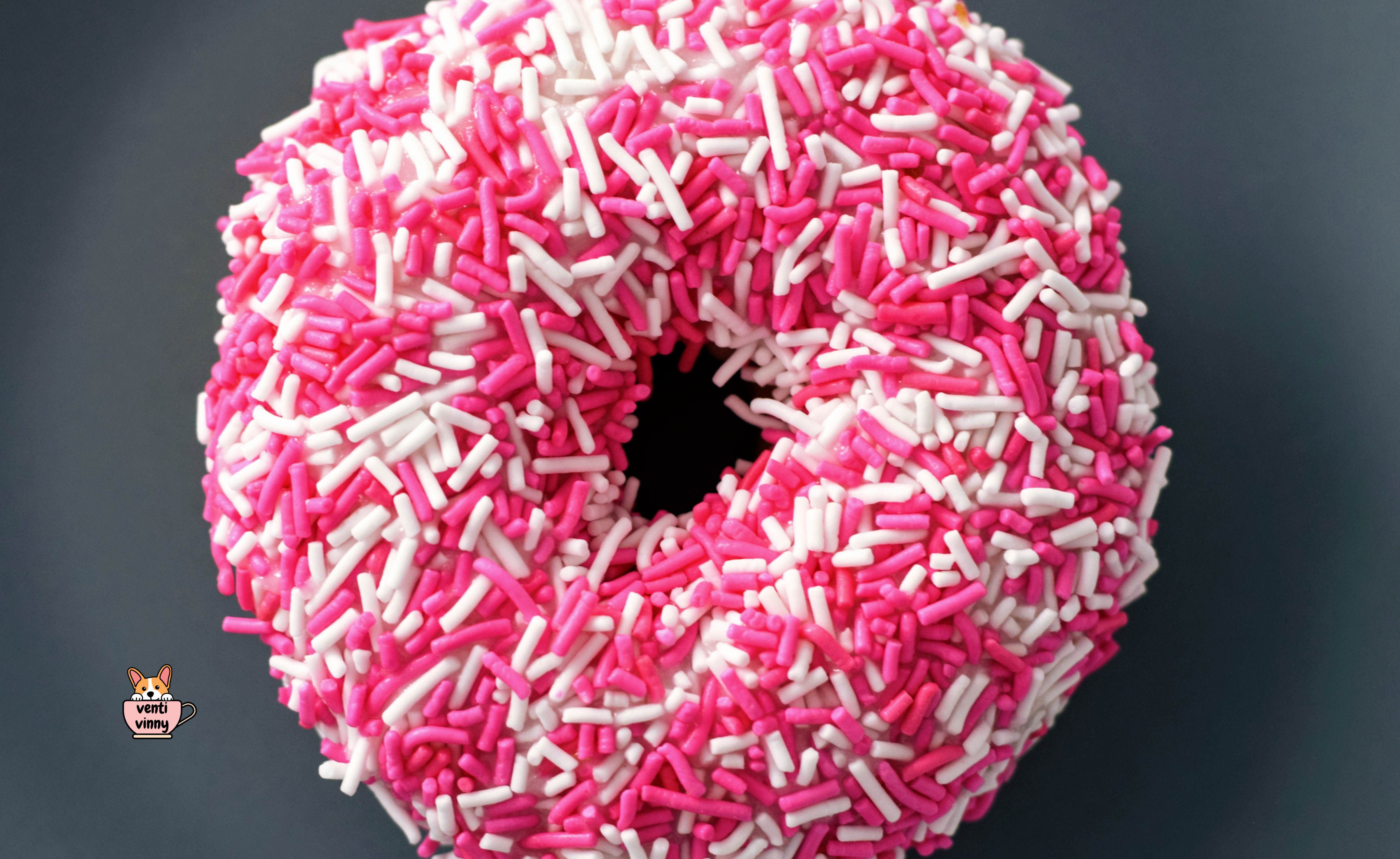 Donut Berry Sprinkle Composition Notebook