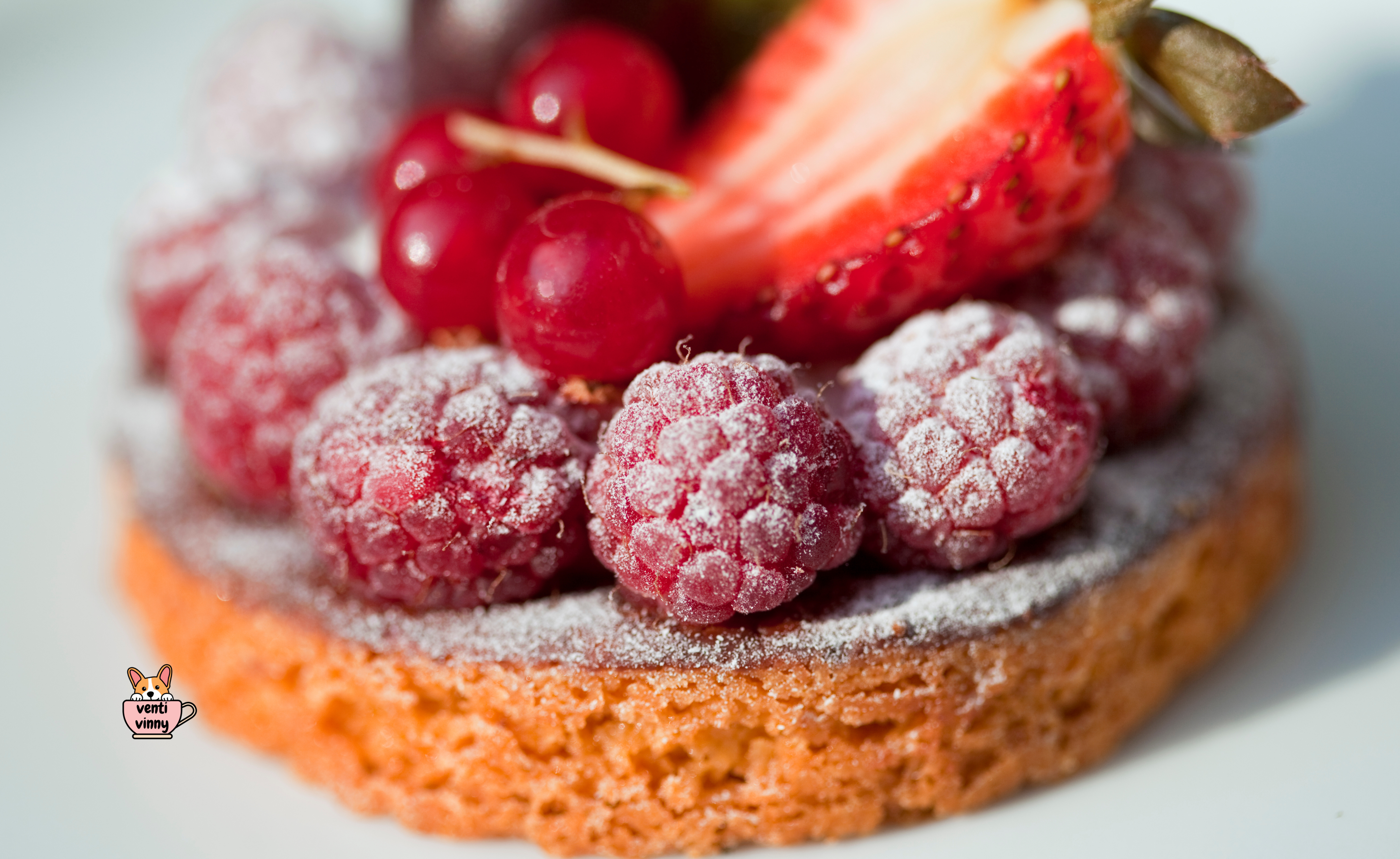 Berry Sugar Tart Composition Notebook