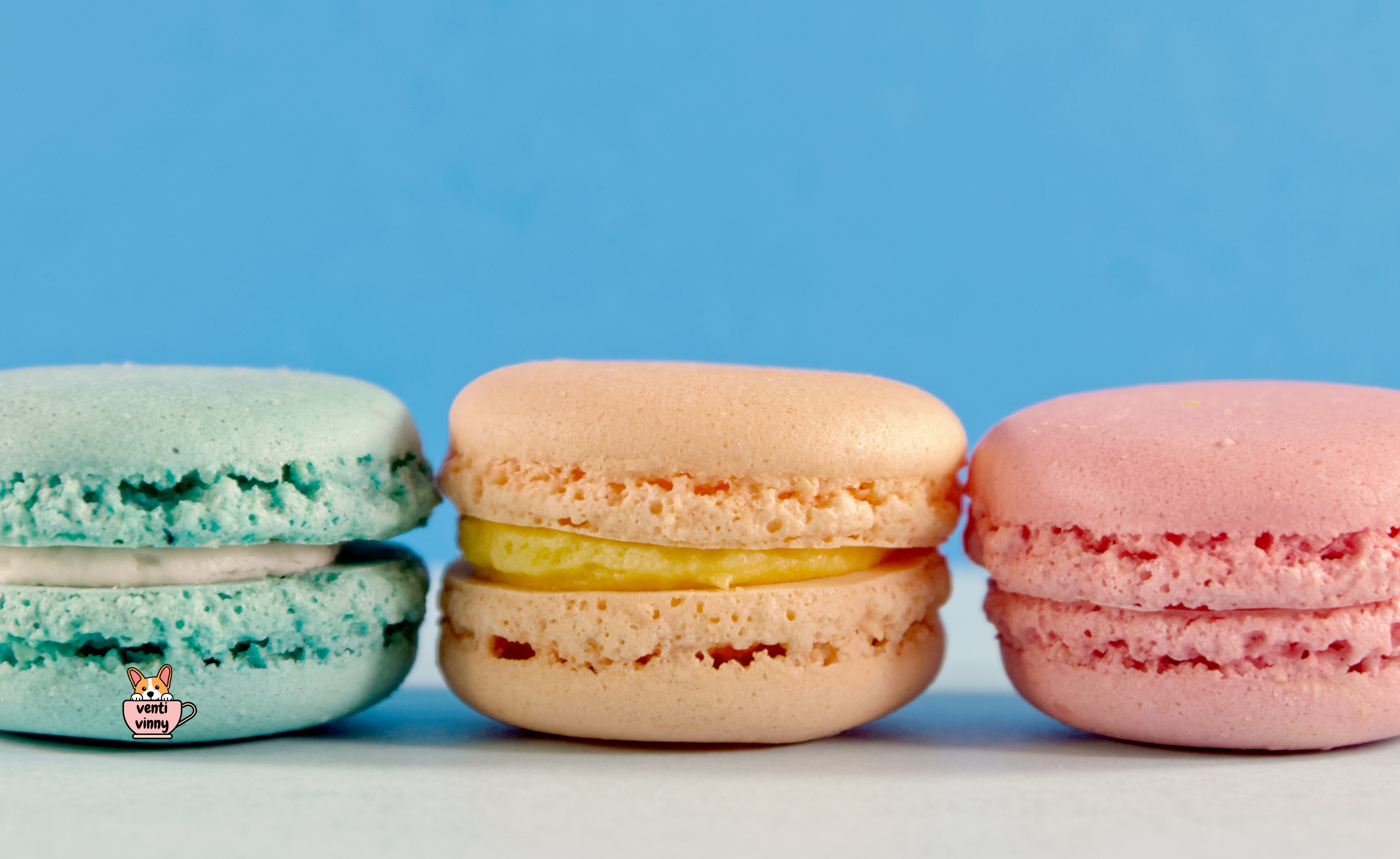 Macaron Tres Composition Notebook