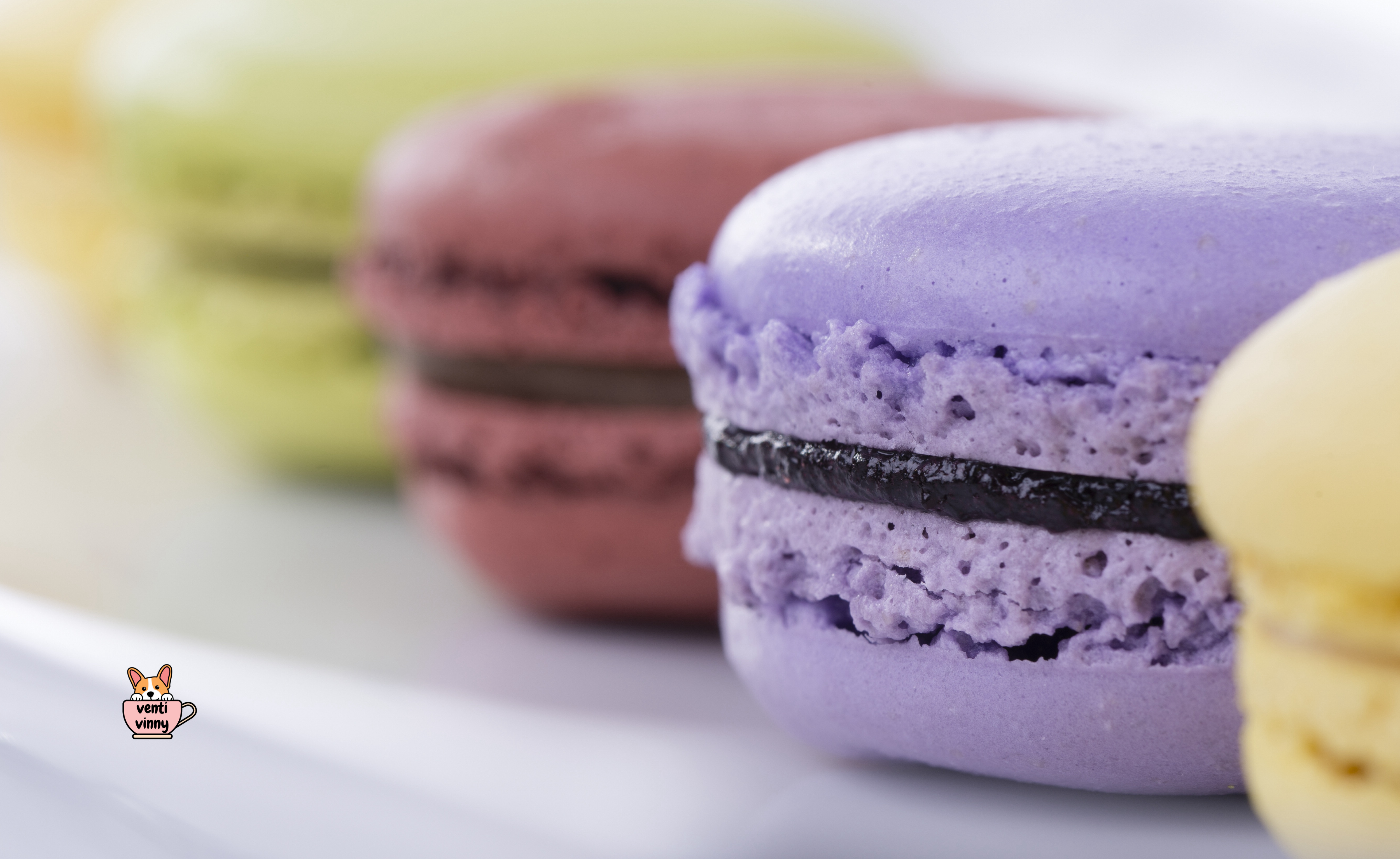 Macaron Purps Composition Notebook