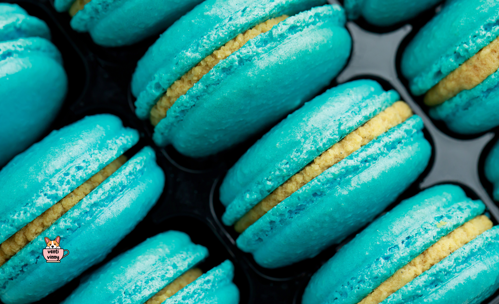 Macaron Blues Composition Notebook