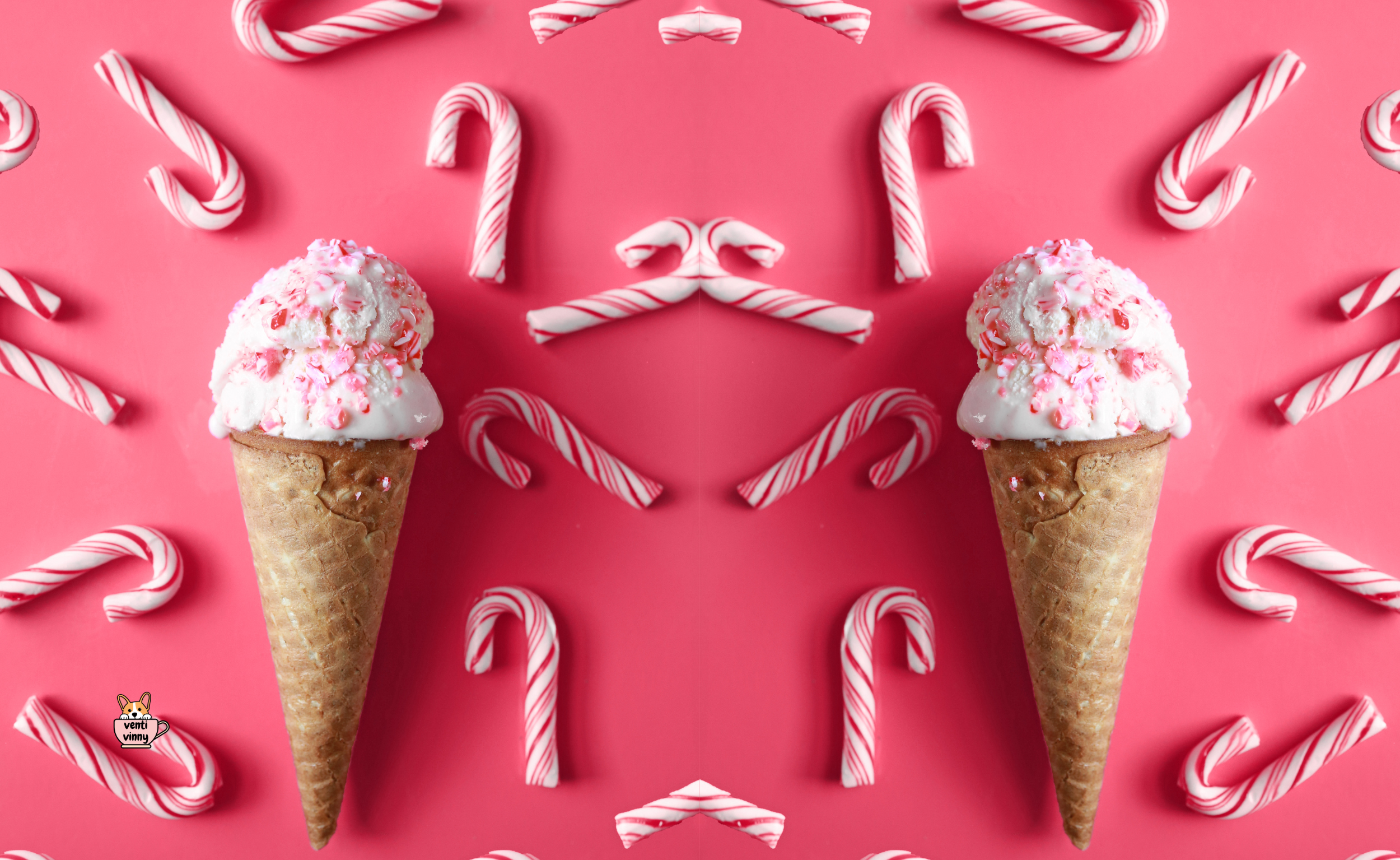 Peppermint Coney Composition Notebook