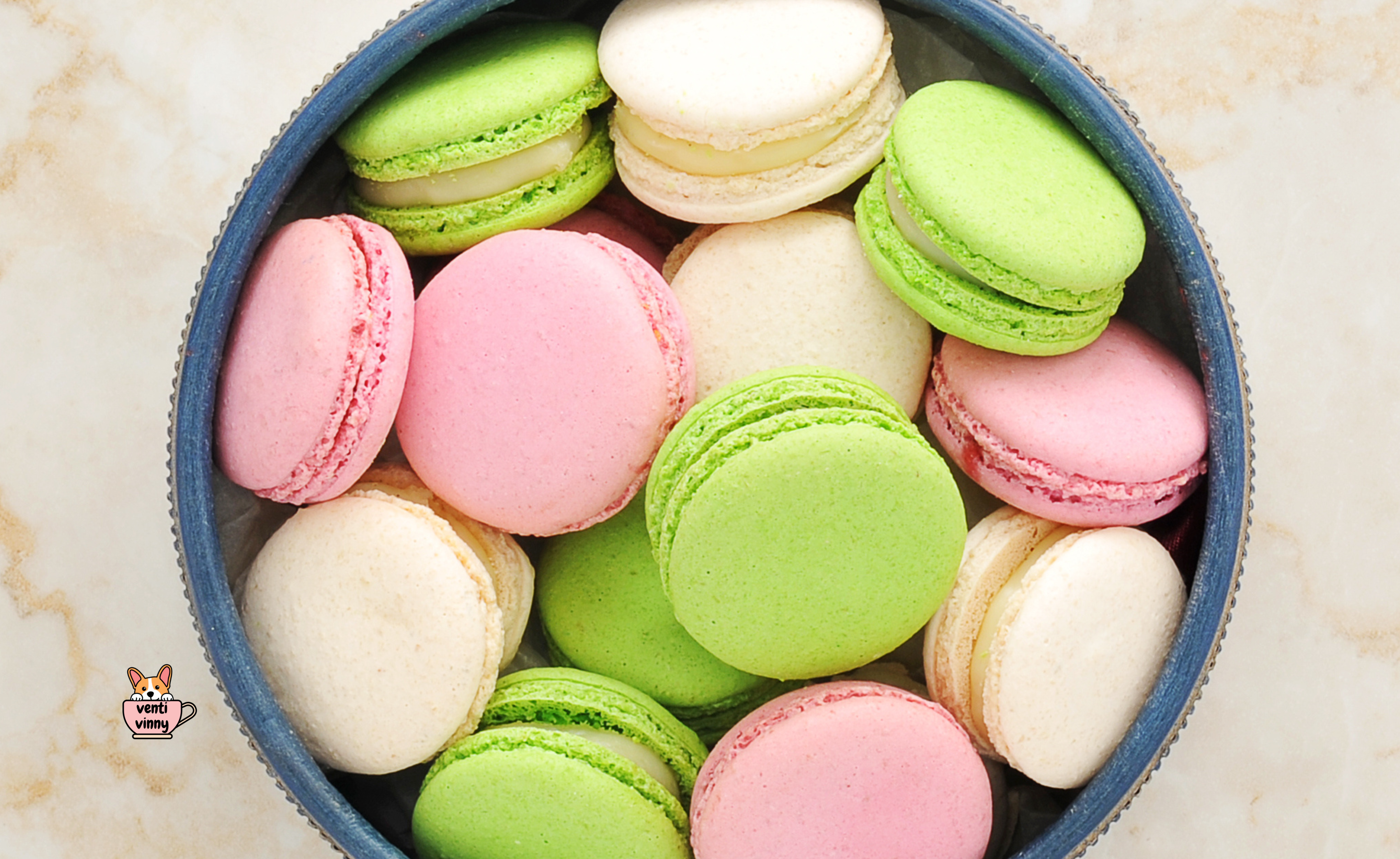 Macaron Pinkie Greens Composition Notebook