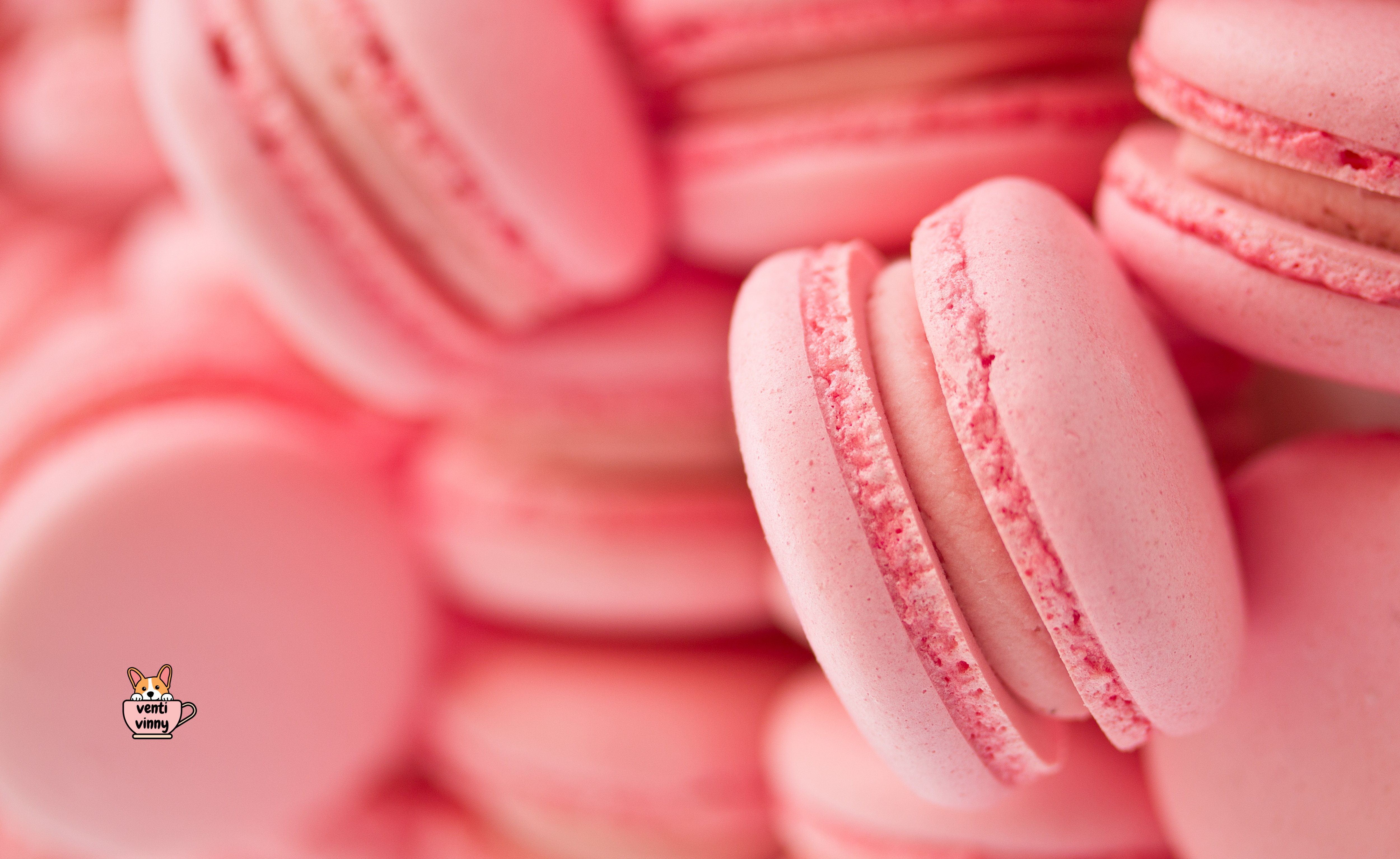 Macaron Pink Composition Notebook