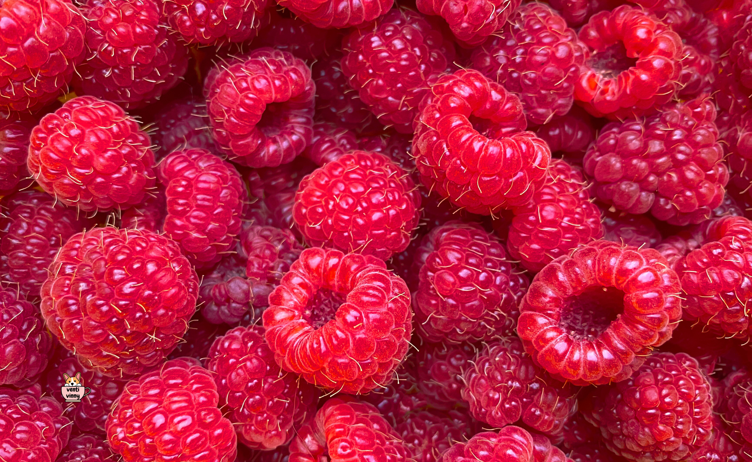 Raspberries Composition Notebook