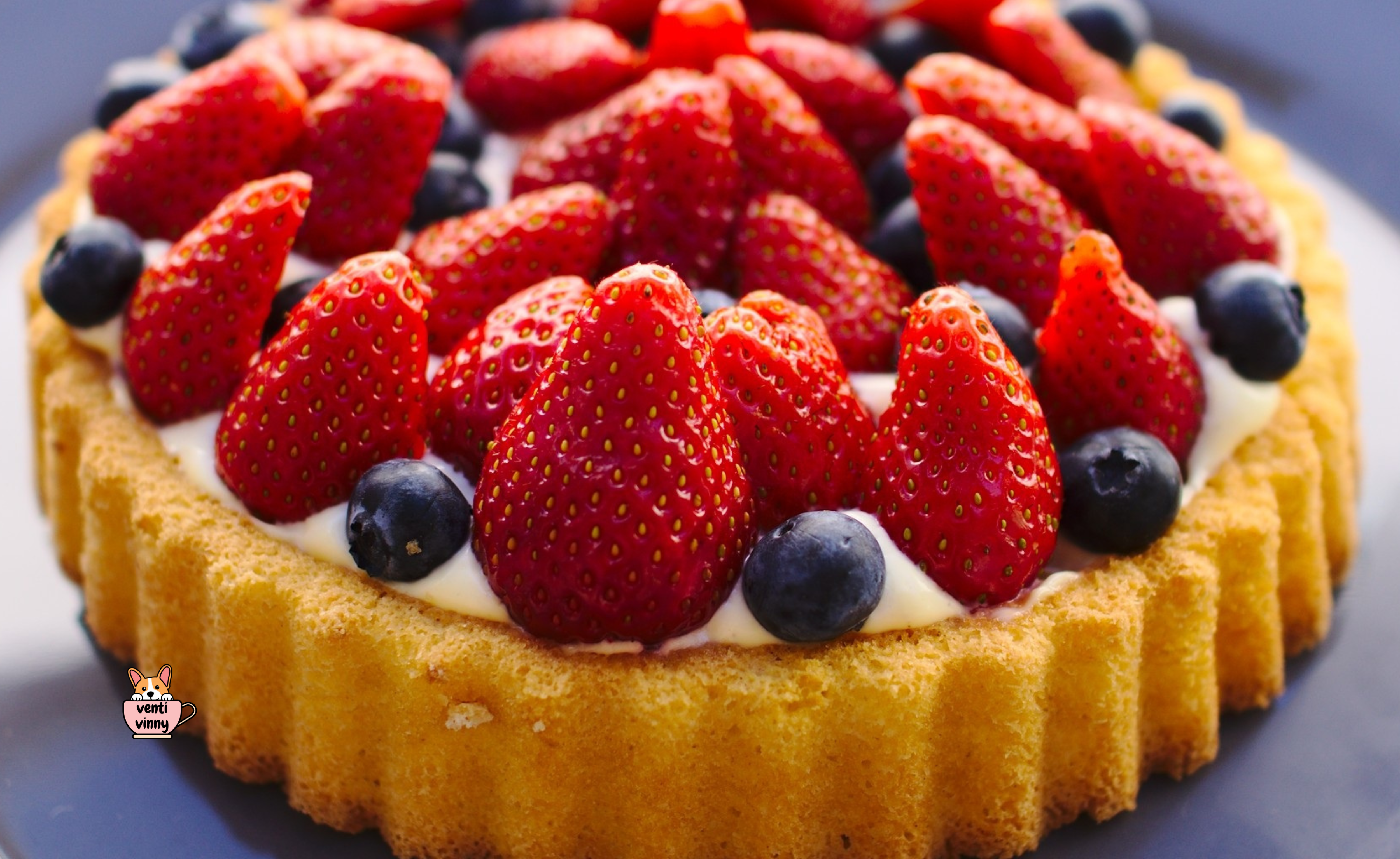 Berries Tart Composition Notebook