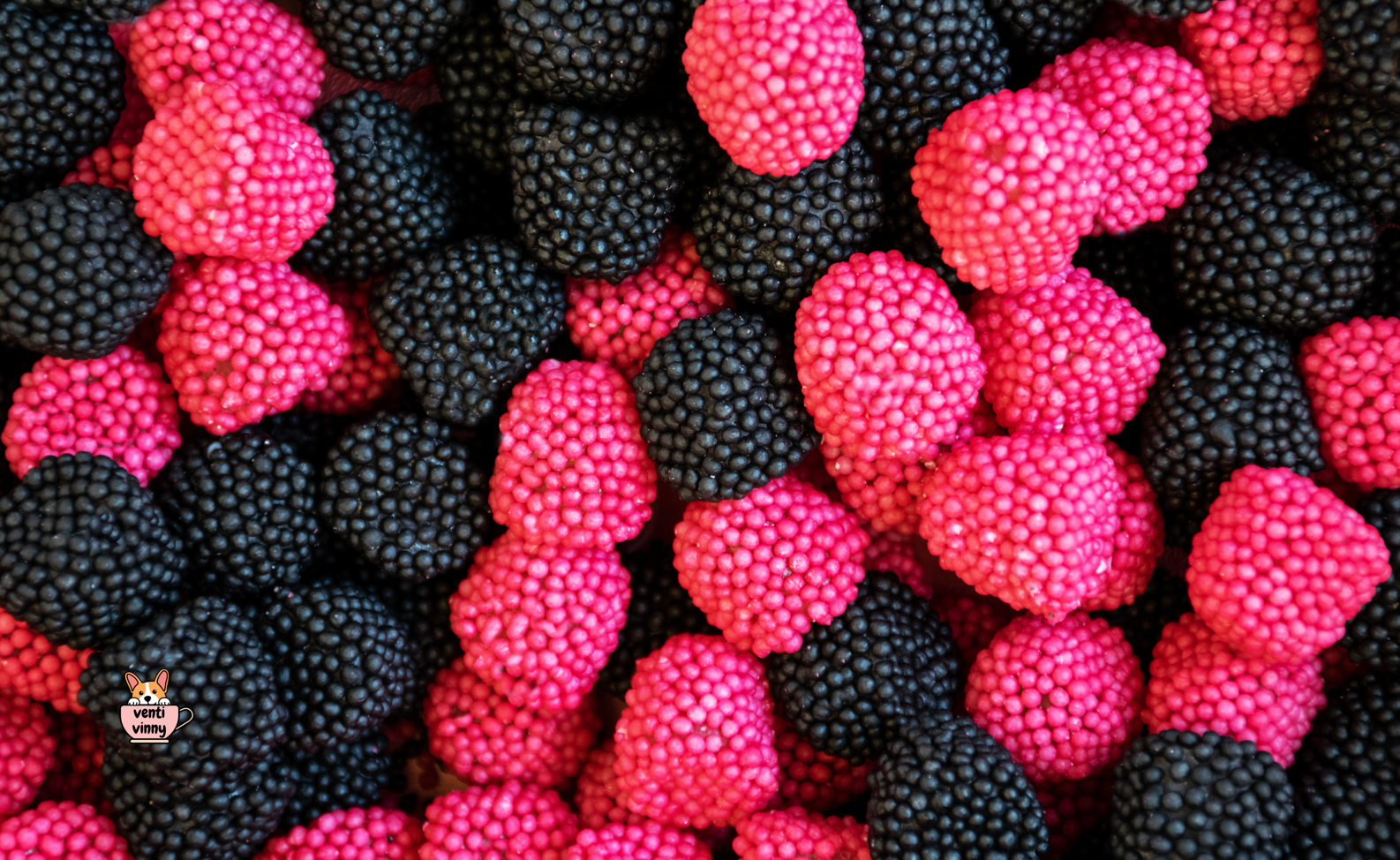 Sour Berries Composition Notebook