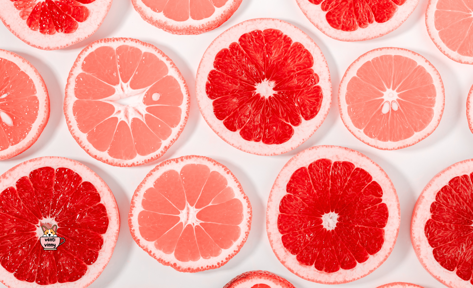 Grapefruit Composition Notebook