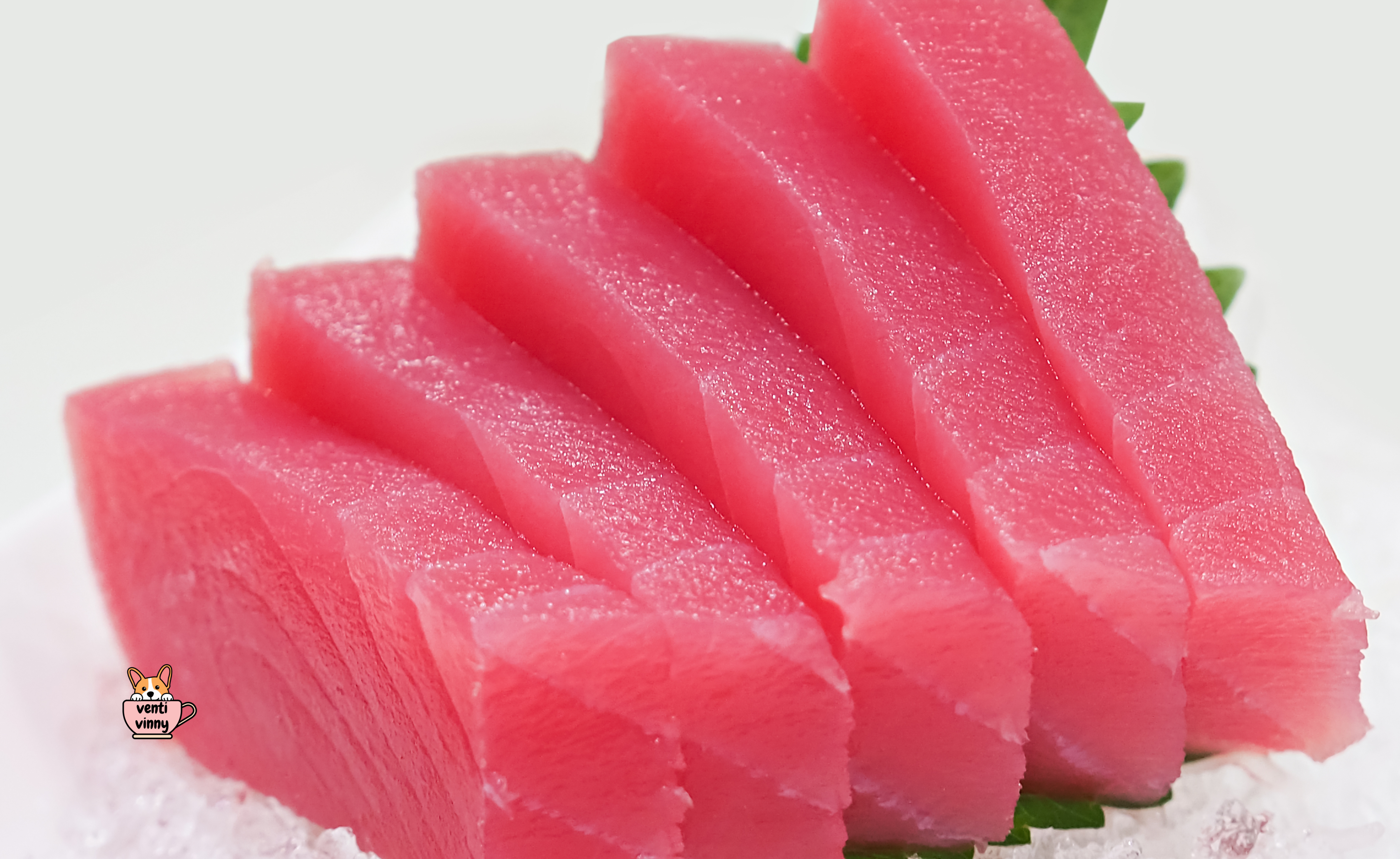 Tuna Composition Notebook